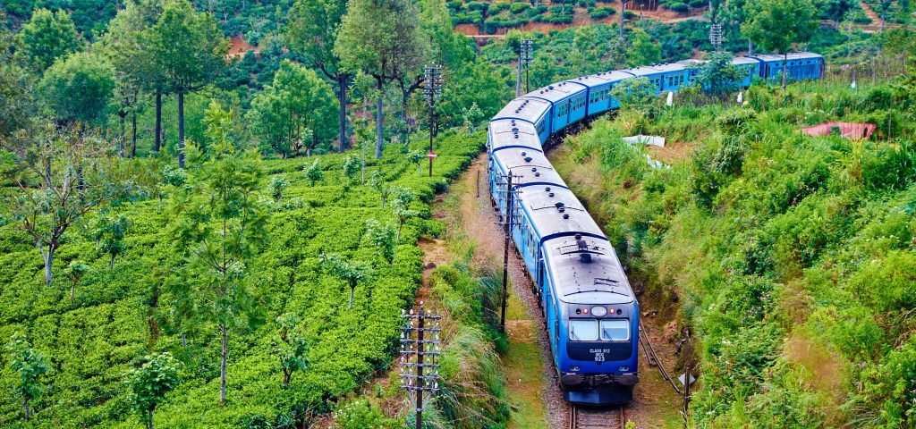 Train Joney